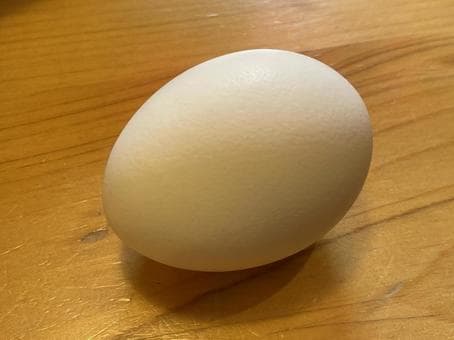 Boiled Egg