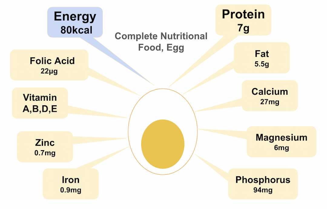 Egg Nutrient