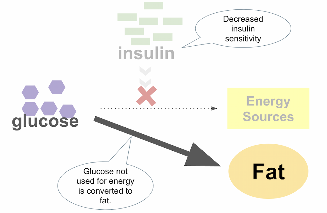 Short sleep insulin work