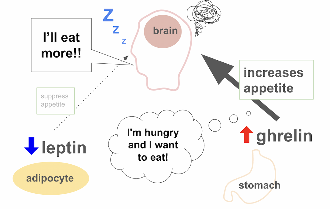 Short sleep hormone levels